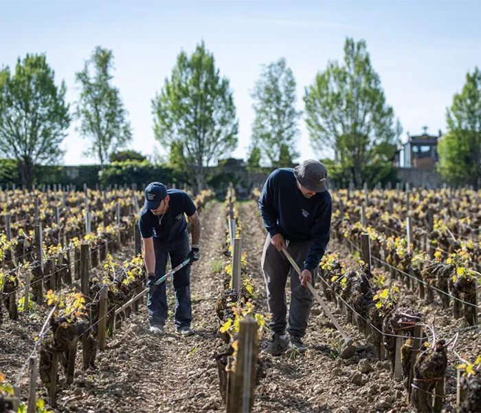 Carrossel Produtores - Château Margaux 02