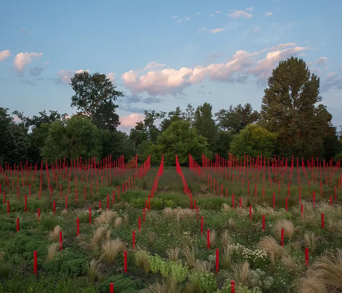 Carrossel Produtores - Larrivet Haut-Brion 01