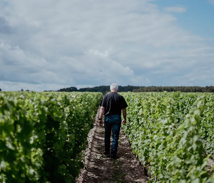 Carrossel Produtores - Larrivet Haut-Brion 05