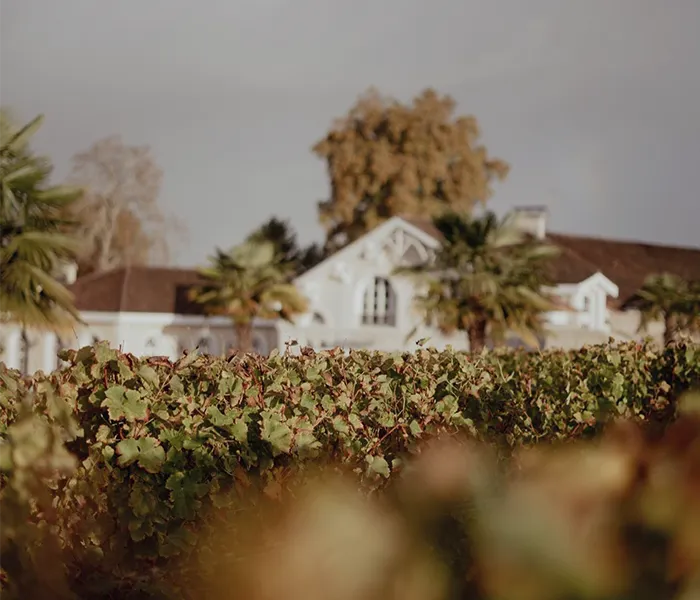 Carrossel Produtores - Larrivet Haut-Brion 06