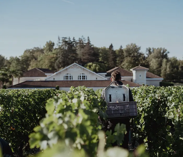 Carrossel Produtores - Larrivet Haut-Brion 07