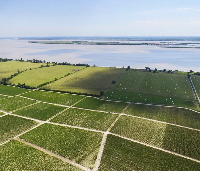 Carrossel Produtores - Léoville Las Cases 04