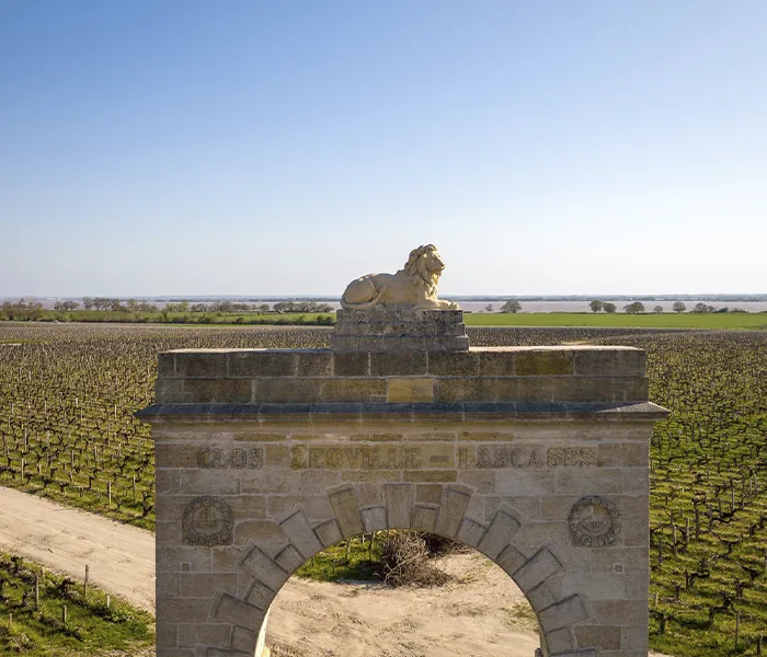 Carrossel Produtores - Léoville Las Cases 06