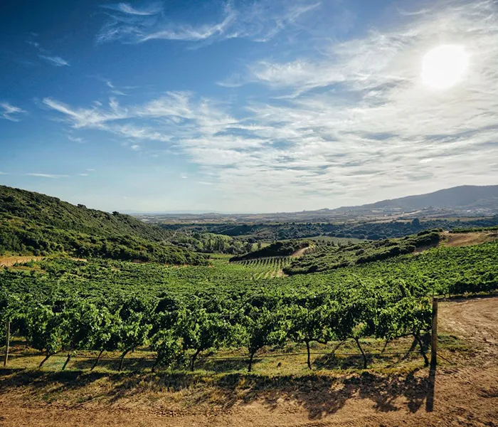 Carrossel Produtores - Arínzano 04