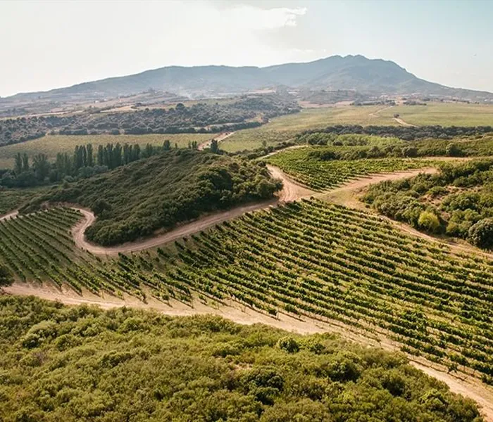 Carrossel Produtores - Arínzano 06