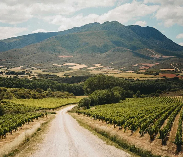 Carrossel Produtores - Arínzano 07