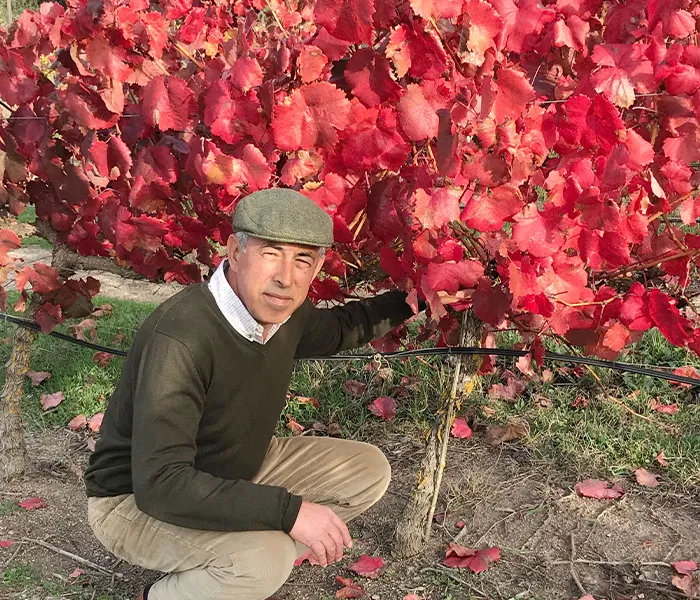 Carrossel Produtores - Pêra-Grave 01