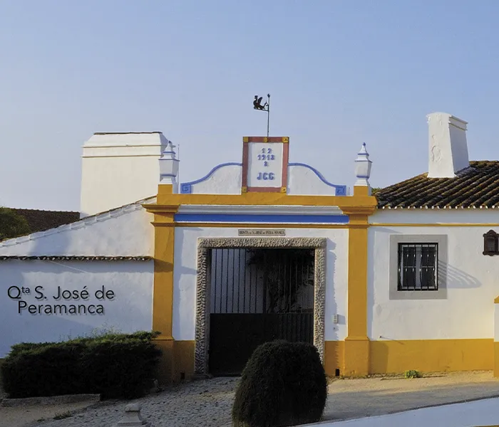 Carrossel Produtores - Pêra-Grave 02