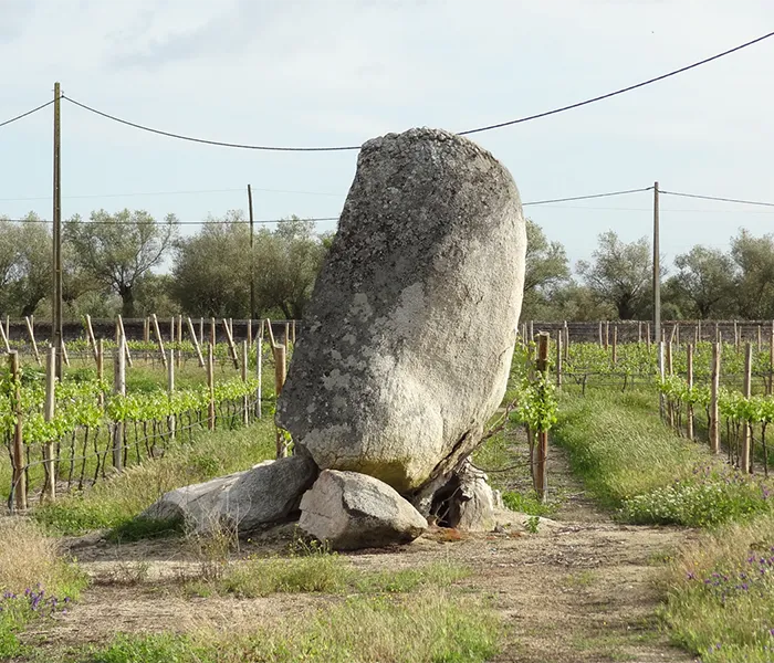 Carrossel Produtores - Pêra-Grave 03