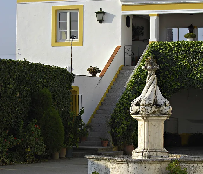 Carrossel Produtores - Pêra-Grave 04