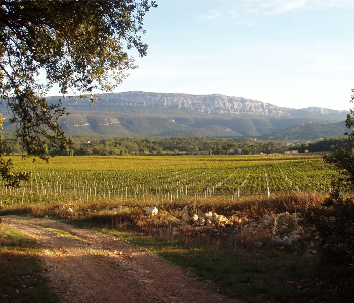 Carrossel Produtores - Triennes 01