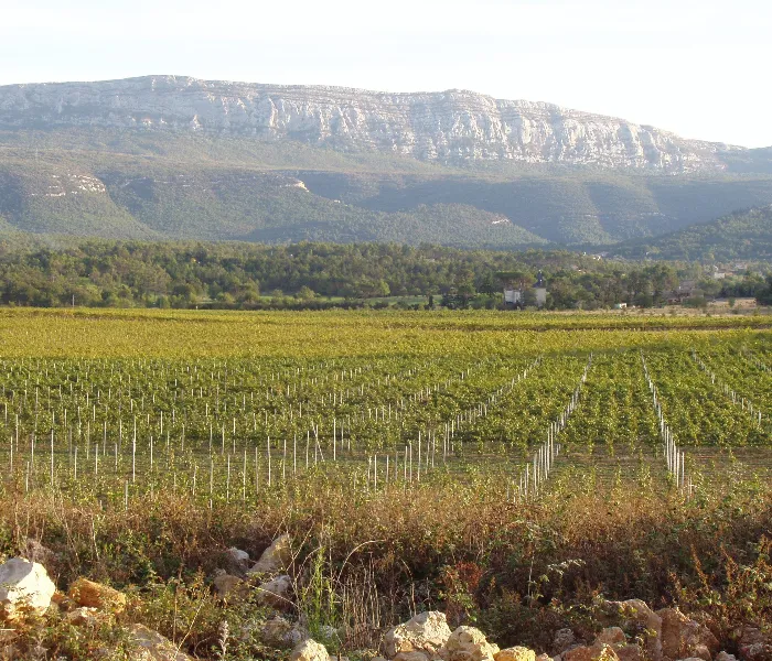 Carrossel Produtores - Triennes 02