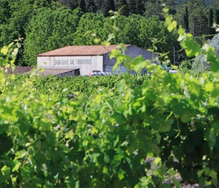 Carrossel Produtores - Triennes 03