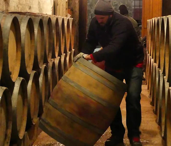 Carrossel Produtores - Triennes 06