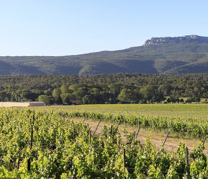 Carrossel Produtores - Triennes 07