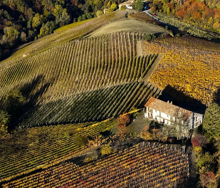 Carrossel Produtores - Luciano Sandrone 02