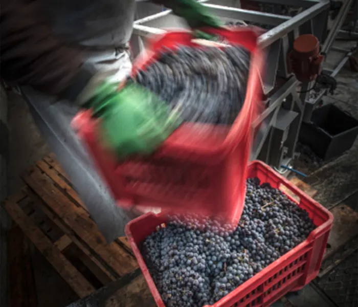 Carrossel Produtores - Luciano Sandrone 04