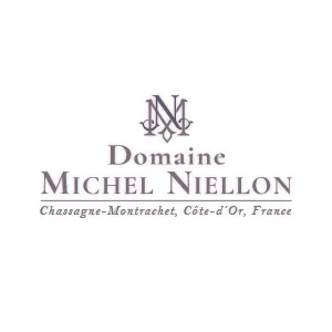 Logo_Site_MichelNiell