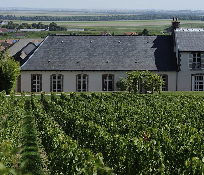 Carrossel Produtores - Delamotte 01