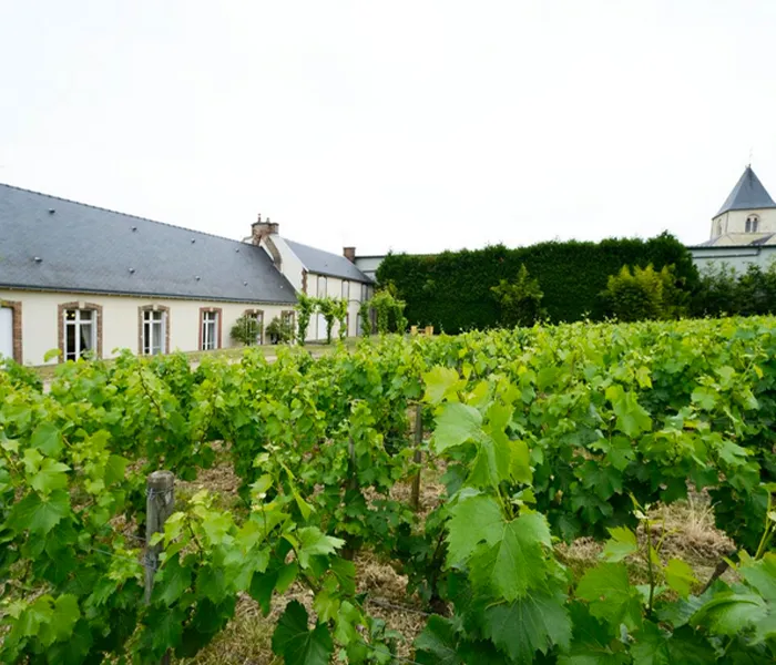 Carrossel Produtores - Delamotte 02