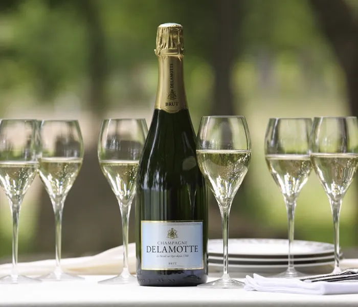 Carrossel Produtores - Delamotte 03