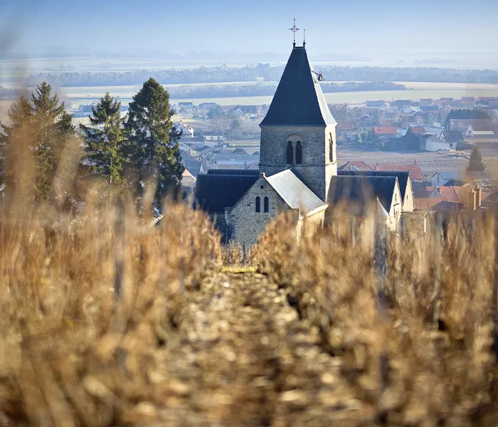 Carrossel Produtores - Delamotte 06