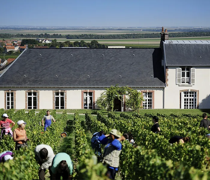 Carrossel Produtores - Delamotte 09