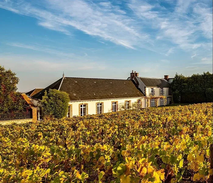 Carrossel Produtores - Salon 05