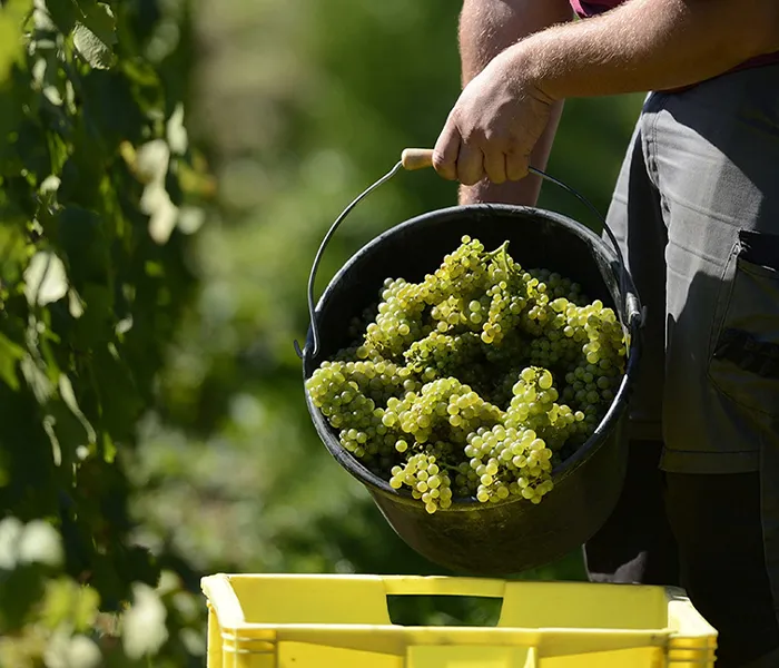 Carrossel Produtores - Salon 06