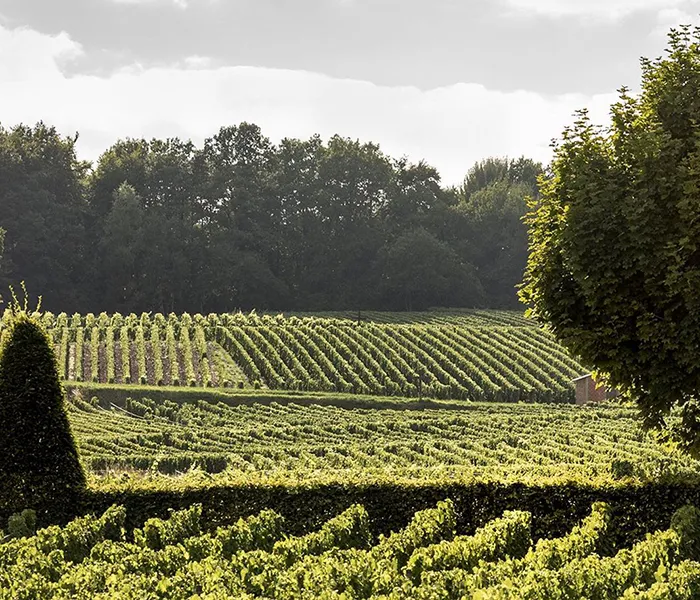 Carrossel Produtores - Salon 07