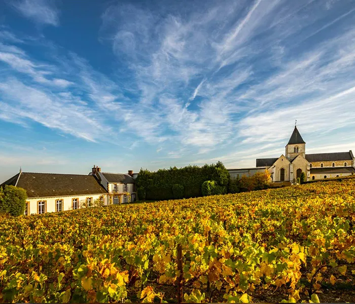 Carrossel Produtores - Salon 08