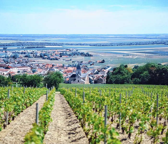 Carrossel Produtores - Salon 09