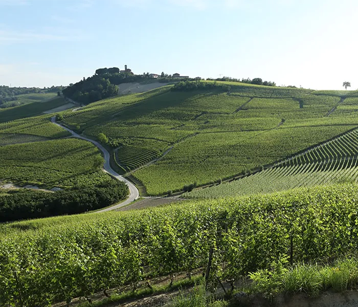 Carrossel Produtores - G.B. Burlotto 01