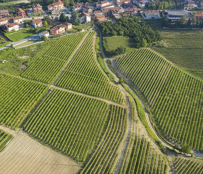 Carrossel Produtores - G.B. Burlotto 05