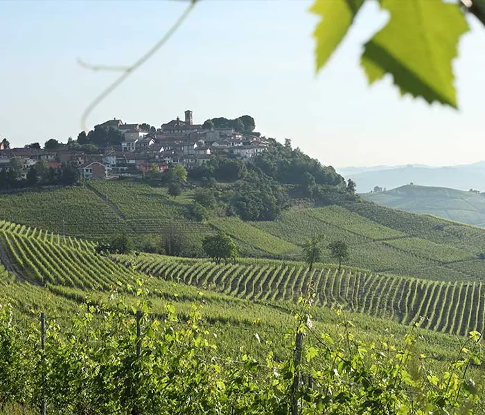 Carrossel Produtores - G.B. Burlotto 06