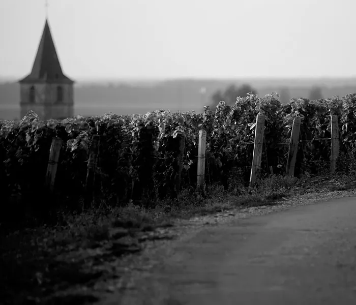 Carrossel Produtores - Hudelot-Noellat 02