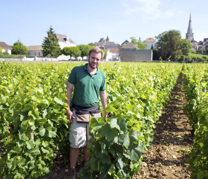 Carrossel Produtores - Hudelot-Noellat 09