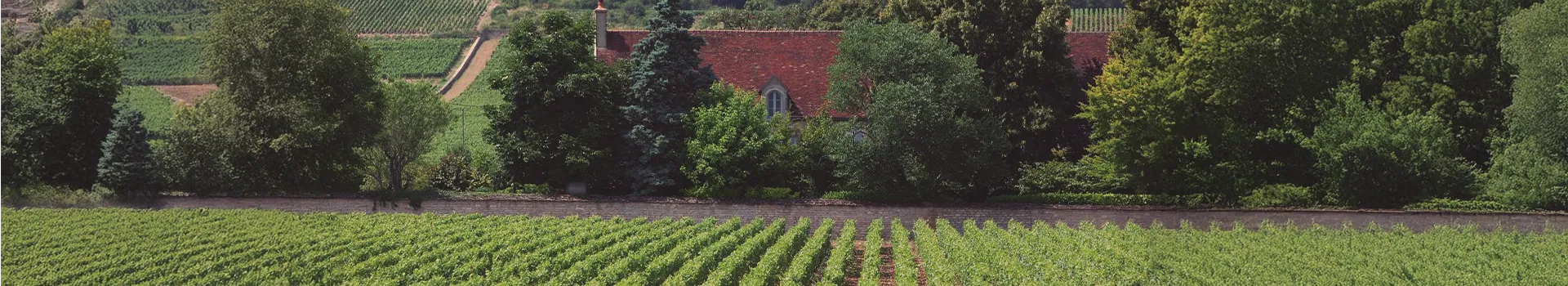 Banner_Garrafas_Dujac