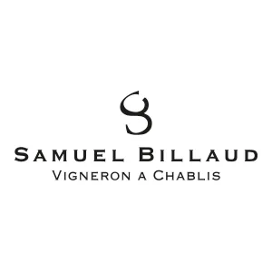 Logo_Site_SAamuel_Billaud