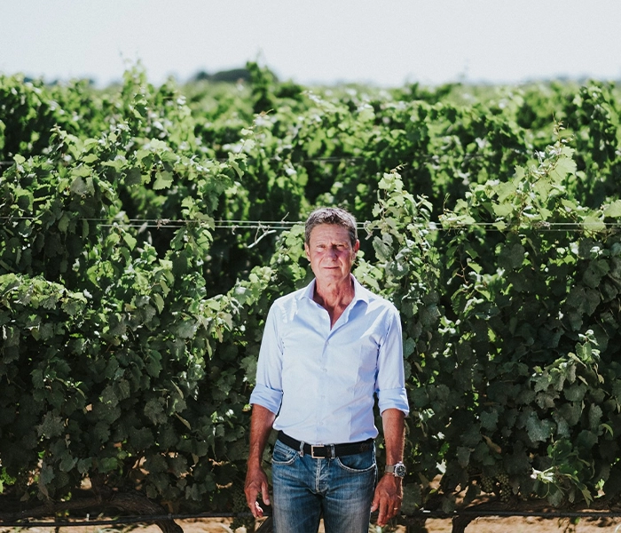 Carrossel Produtores - Tenute Rubino - Foto 08