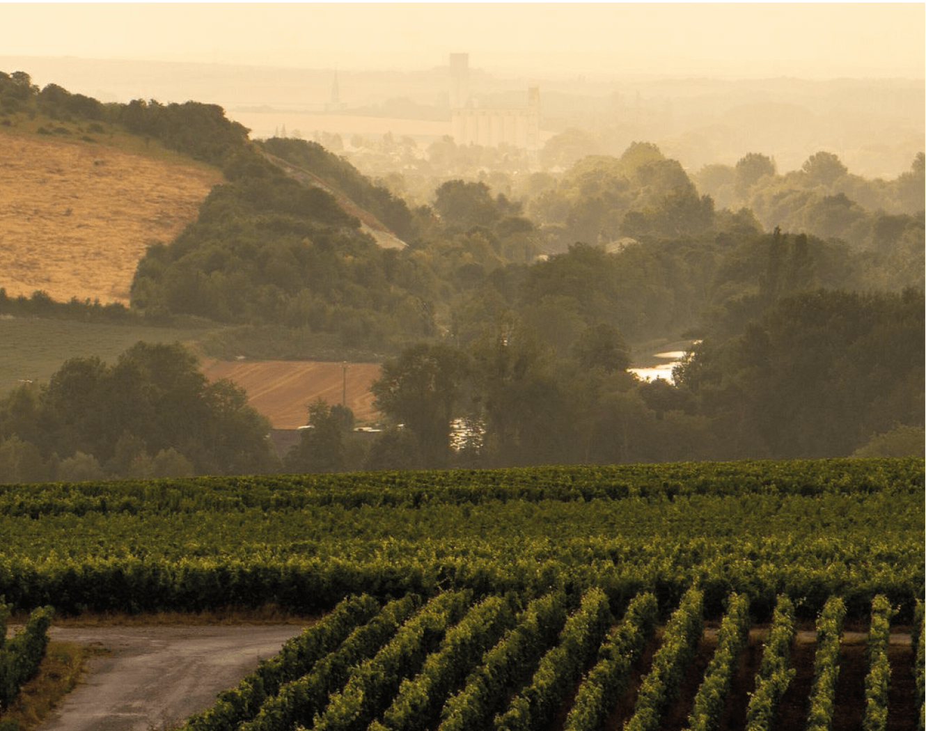 philipponnat-gallery-3