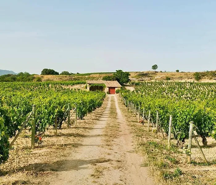 Carrossel Produtores - Artadi 01