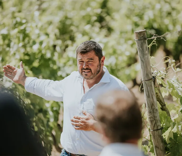 Carrossel Produtores - Artadi 02