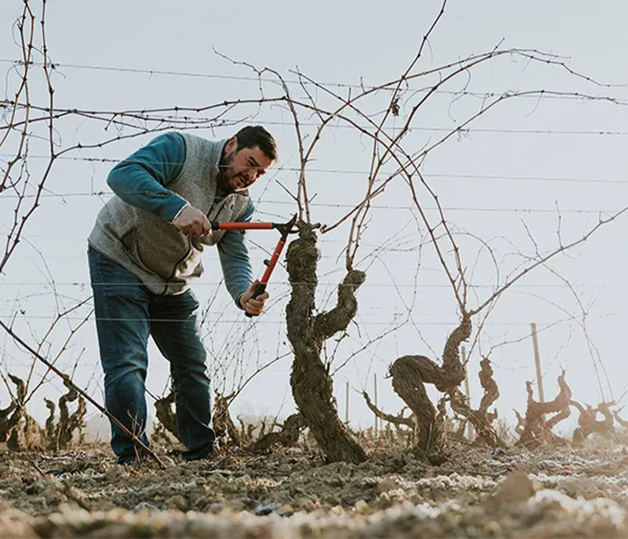 Carrossel Produtores - Artadi 03