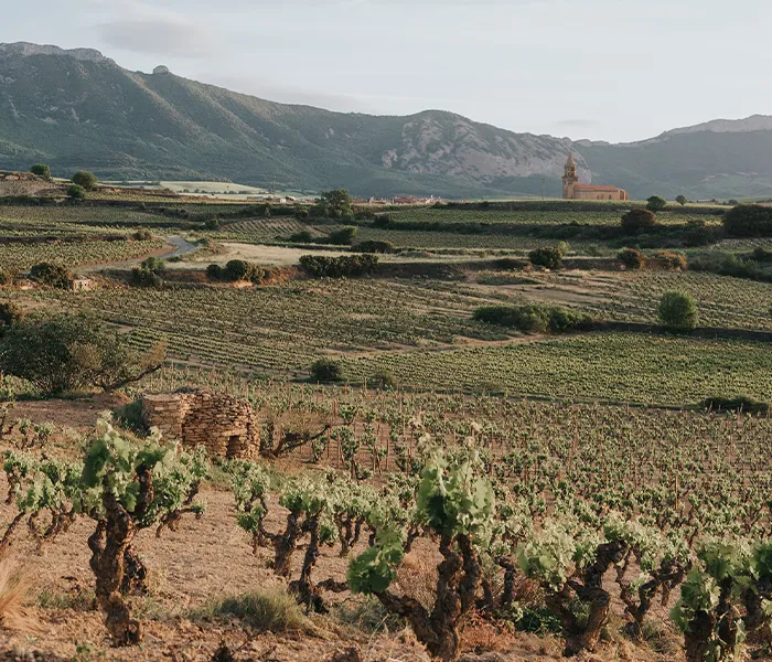 Carrossel Produtores - Artadi 06