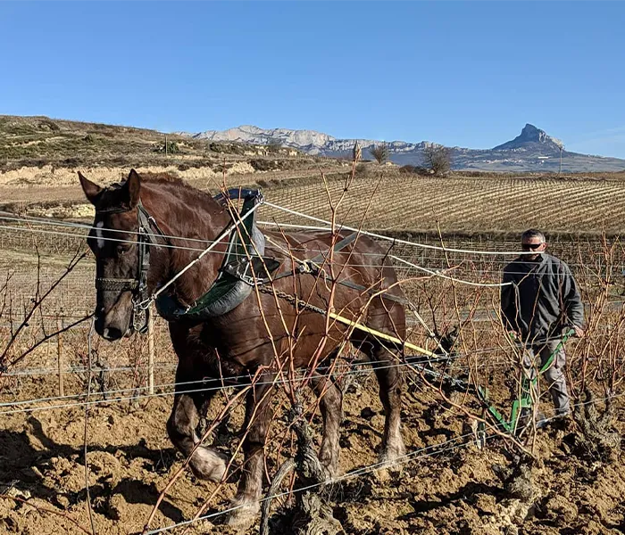 Carrossel Produtores - Artadi 08