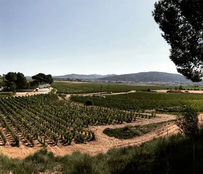 Carrossel Produtores - Artadi 09