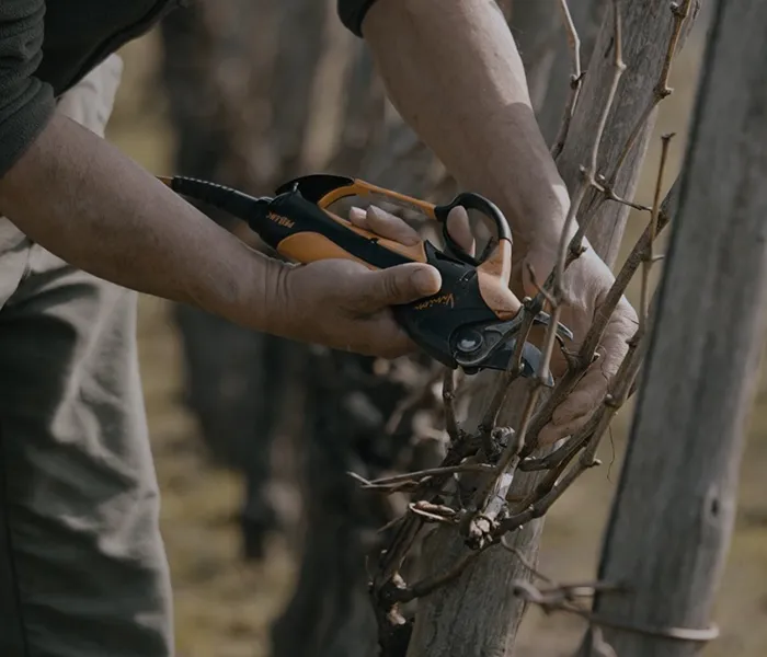 Carrossel Produtores - Ca di Press 01