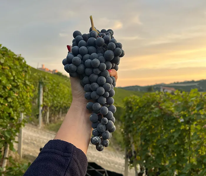 Carrossel Produtores - Ca di Press 03