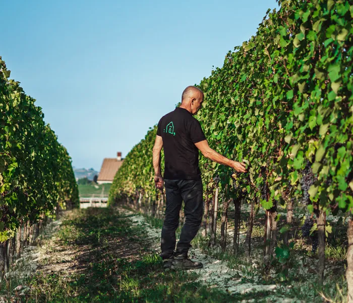 Carrossel Produtores - Ca di Press 05